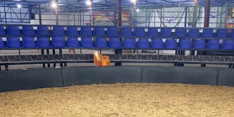 Trường gà Savan - Đá gà đòn c1 trực tiếp hôm nay 1 Giới thiệu trường gà Savan