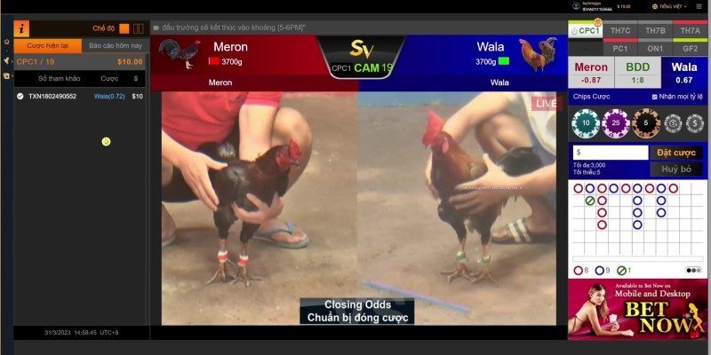 Giới thiệu 2 Tham gia kèo cược tại xemdagatructiep.tv