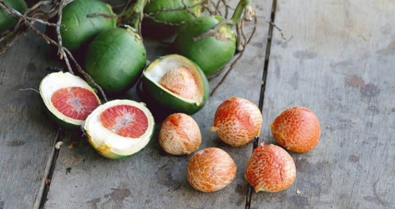 Cách xổ lãi cho gà và những kiến thức về tẩy giun sán chiến kê 5 Cách xổ lãi cho gà bằng hạt cau rất hiệu quả