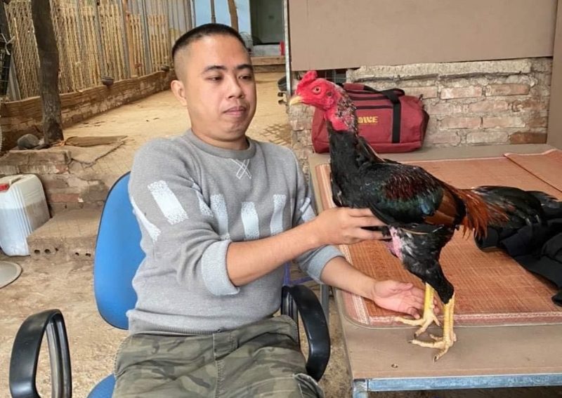 Màu mạng gà và tầm quan trọng trong việc đưa chiến kê đi đấu 4 Lưu ý các vấn đề tương sinh tương khác khi nuôi gà chọi