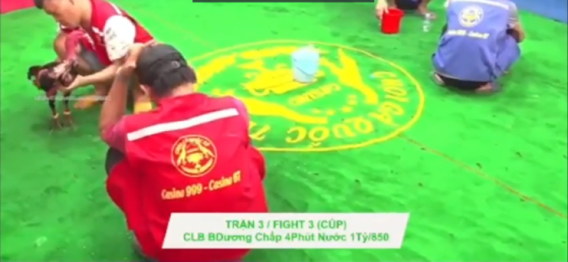 Siêu cúp 1 tỷ gà đòn Thomo