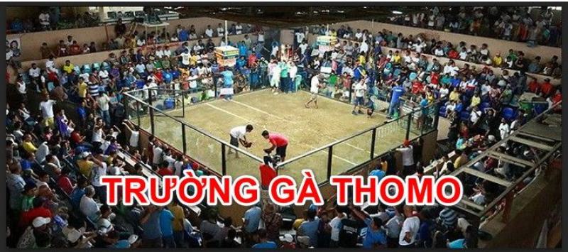 Trận Đá Gà 24 Tỷ Màn Đấu Siêu Khủng Trong Lịch Sử Đá Gà 2 Trận đá gà 24 tỷ tại trường gà Thomo ở Campuchia