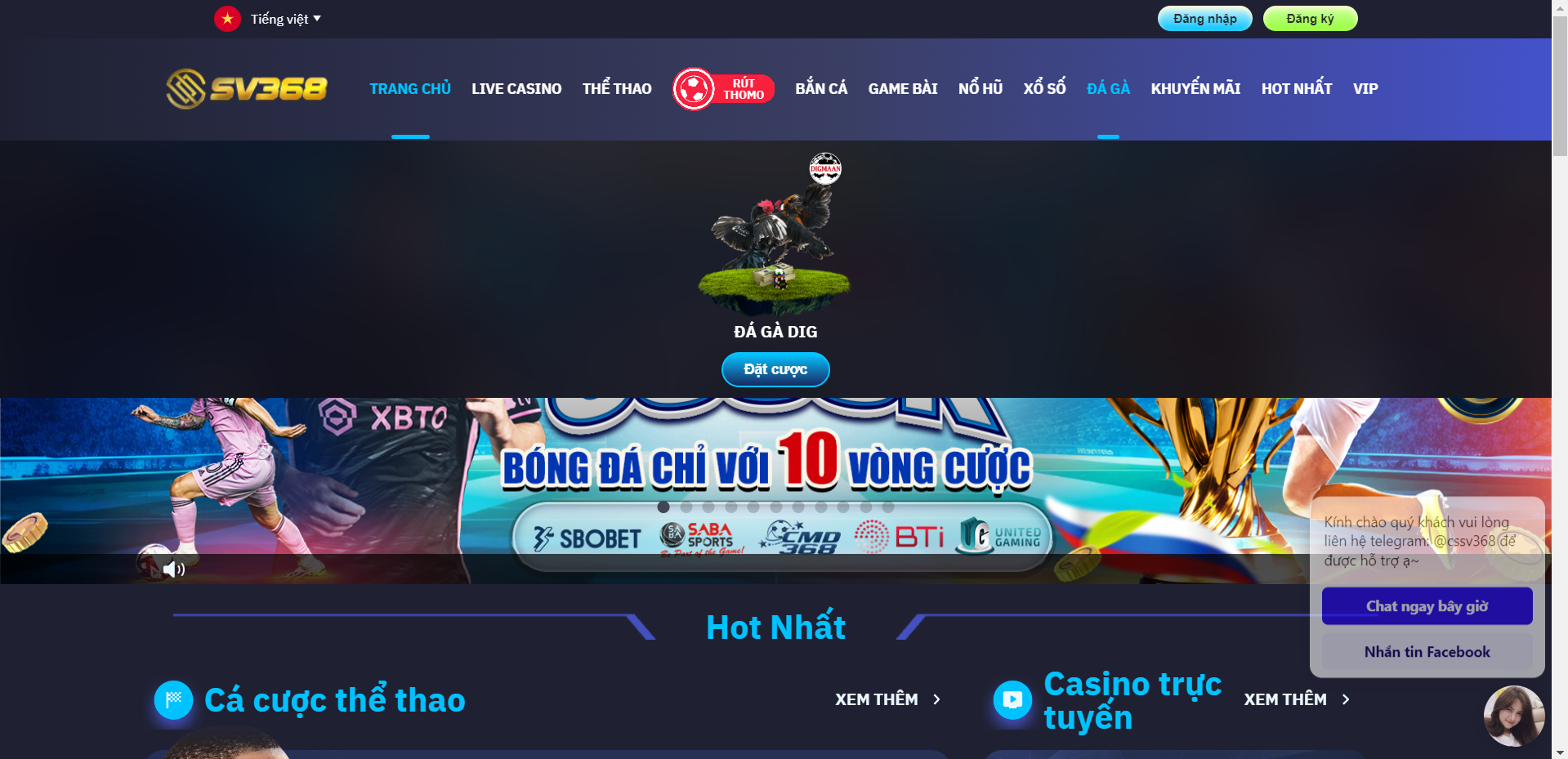 đá gà sv368