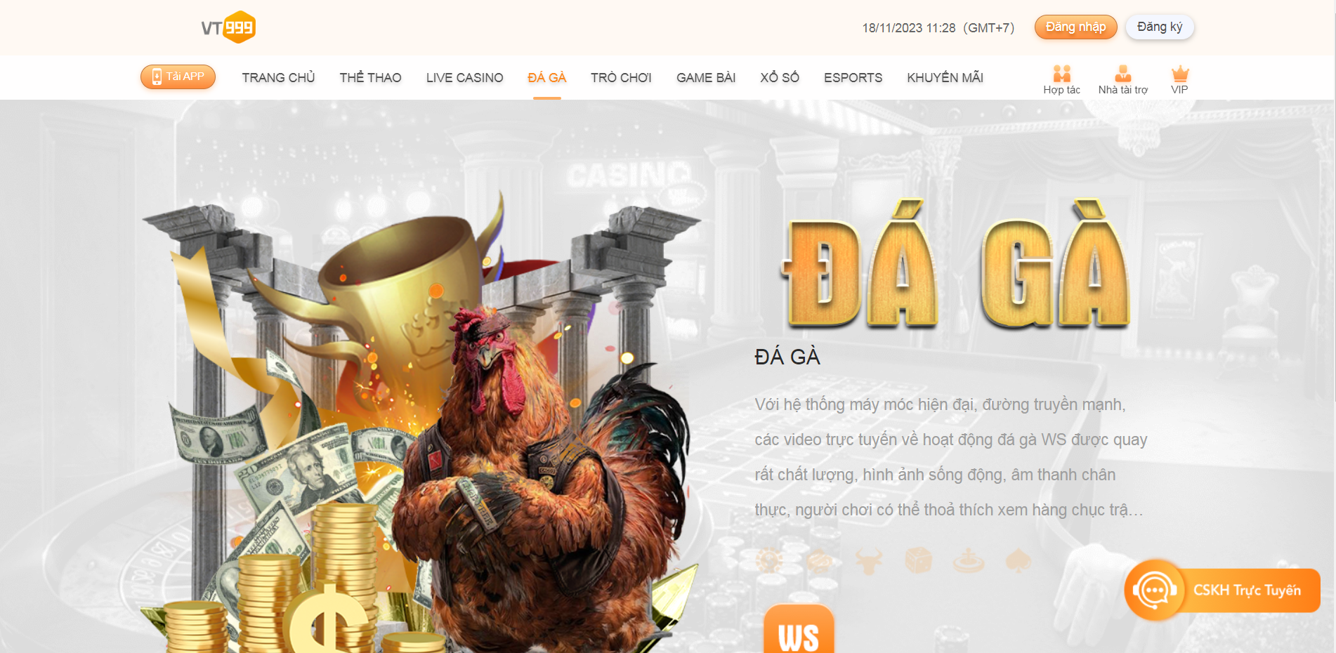 đá gà vt999