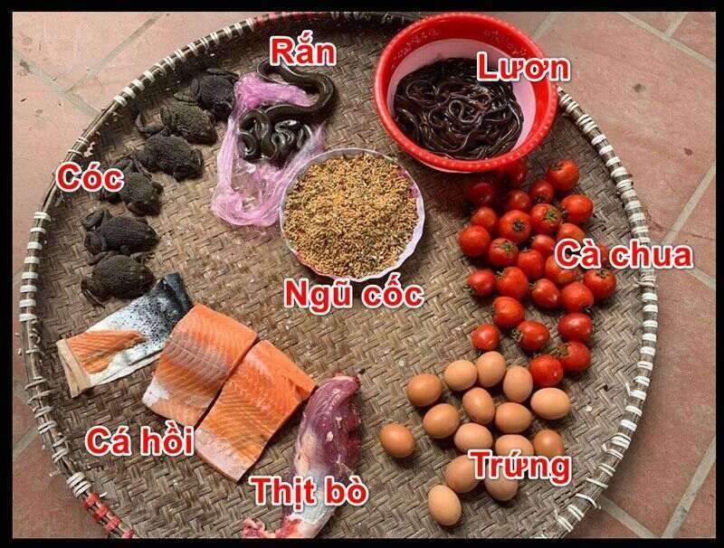 Hướng dẫn cách nuôi gà chọi C1 đá hay từ sư kê lâu năm 1 Thức ăn cho gà đá C1